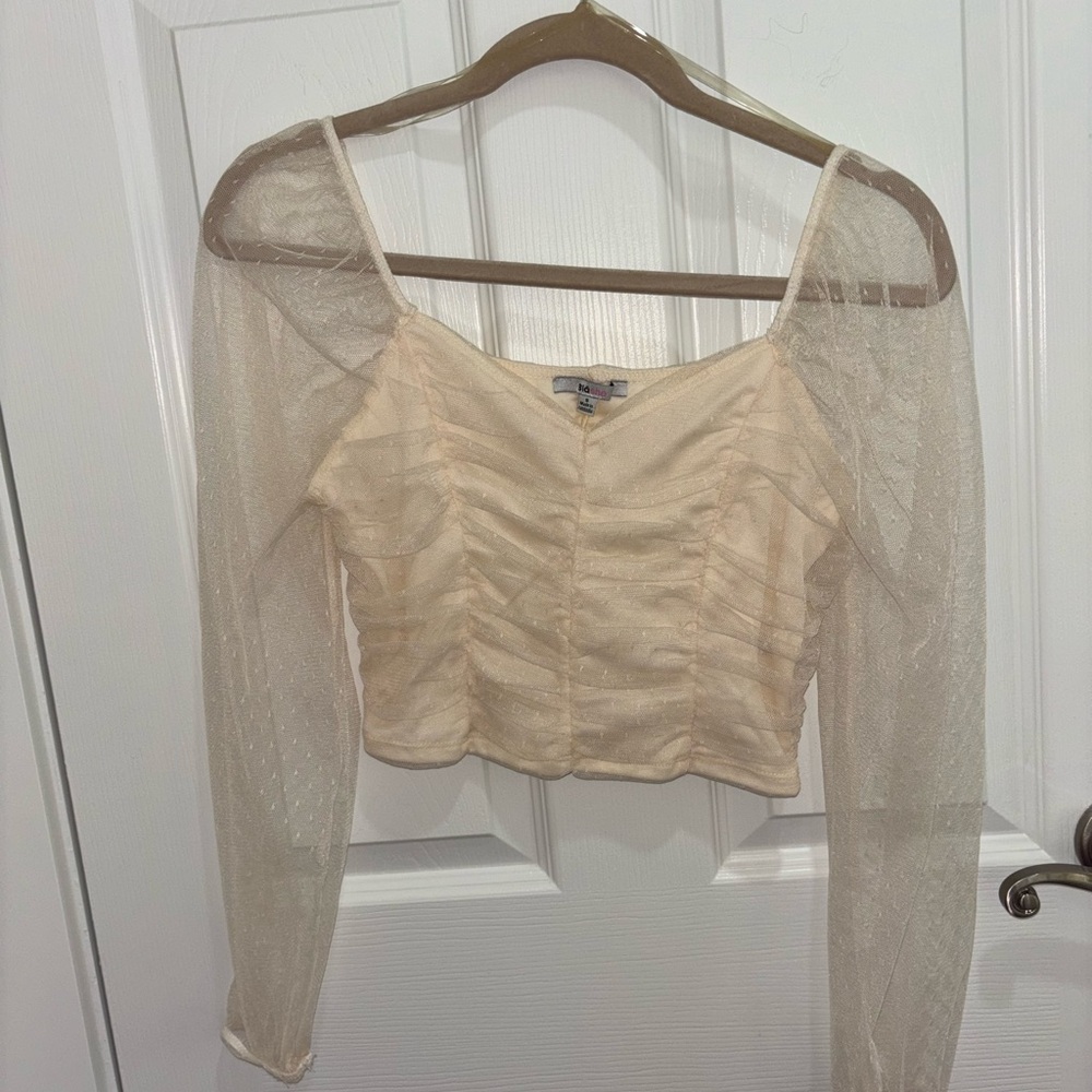 Sheer Beige Long Sleeve Blouse